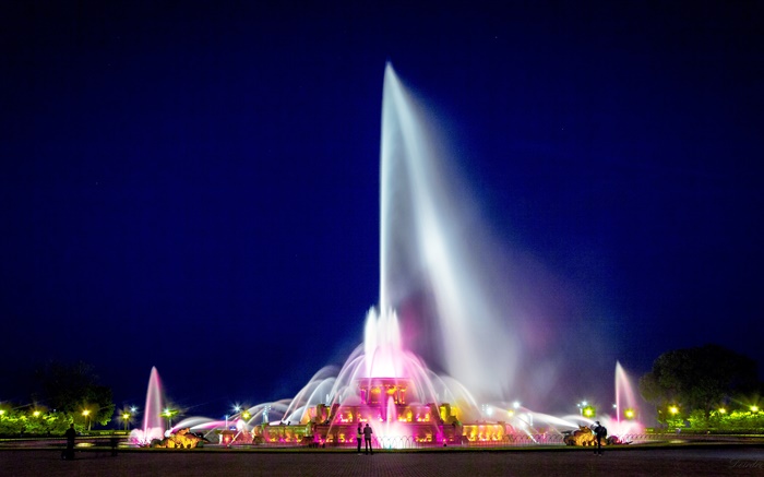 白金汉喷泉，芝加哥格兰特公园，美国，夜，灯 壁纸 图片