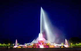 白金汉喷泉，芝加哥格兰特公园，美国，夜，灯