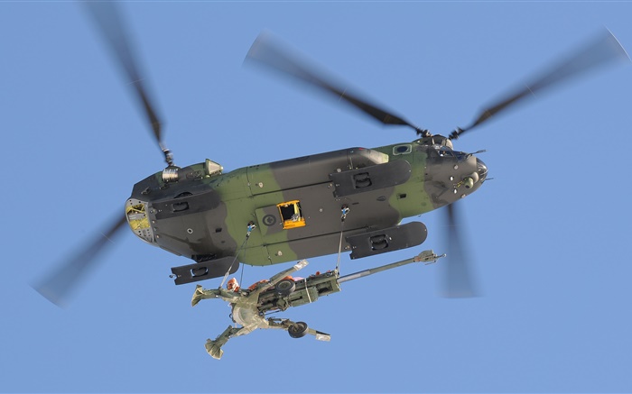 CH-147奇努克，军用运输直升机 壁纸 图片
