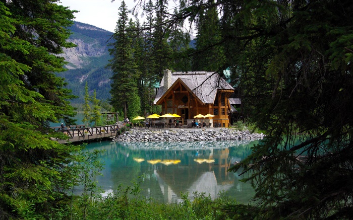 加拿大，翡翠湖，优鹤国家公园，森林，湖泊，房子 壁纸 图片