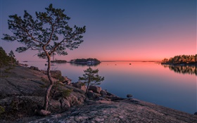 芬兰，芬兰湾，海，岛，日落，树木，石头