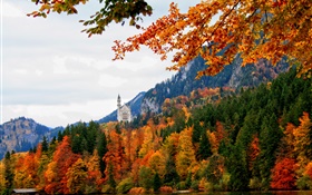 德国，巴伐利亚，施万高城堡，树木，河流，秋季
