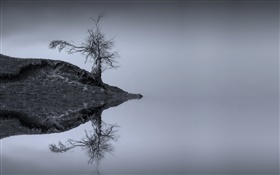 湖，树，水中的倒影，单色，苏格兰