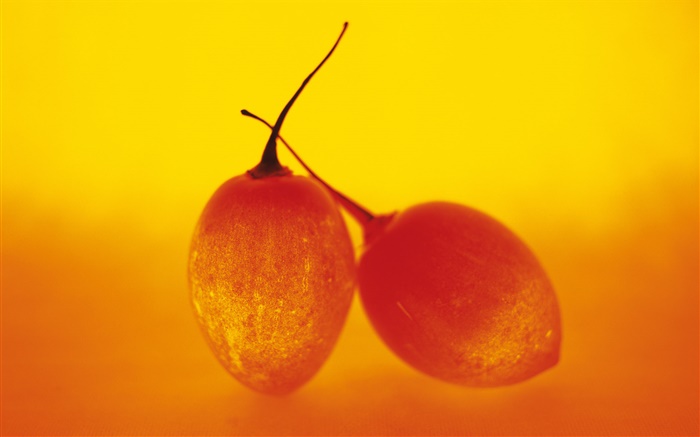 光水果，两个树蕃茄 壁纸 图片