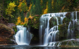 刘易斯河下游瀑布，华盛顿，美国，瀑布，秋天，树木