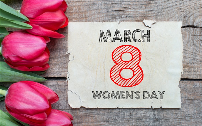 3月8日妇女节，红色郁金香 壁纸 图片