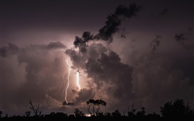 晚上，云，风暴，雷电，树木，剪影