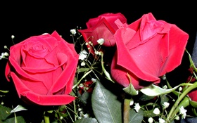 红玫瑰鲜花，花束 高清壁纸