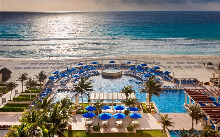 热带度假胜地，大海，沙滩，棕榈树，游泳池 壁纸 图片