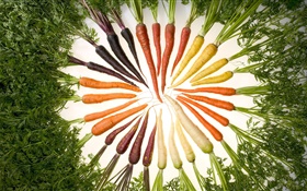 蔬菜，胡萝卜，不同的颜色，圆 高清壁纸