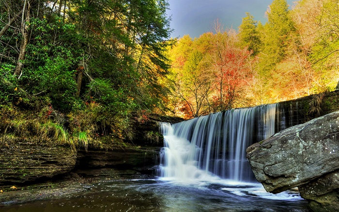 瀑布，岩石，石头，树木，秋天 壁纸 图片