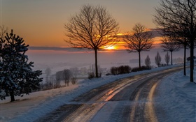 冬季，上午，黎明，道路，树木，雪，日出 高清壁纸