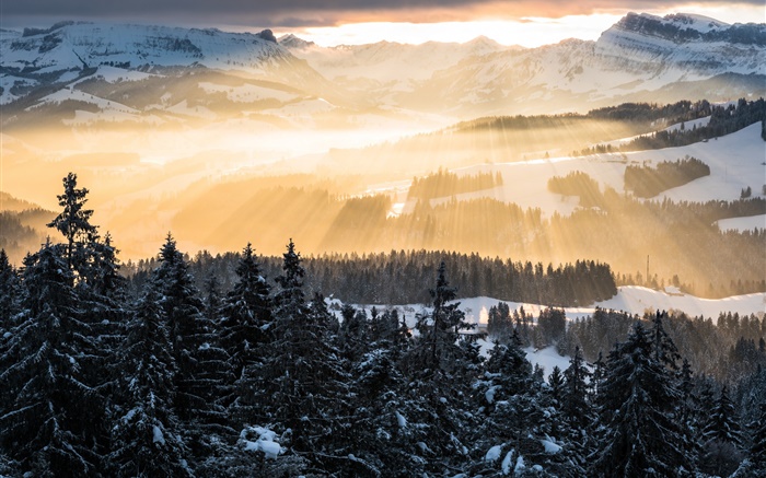 冬季，山，早晨，太阳光线，树木，雪 壁纸 图片