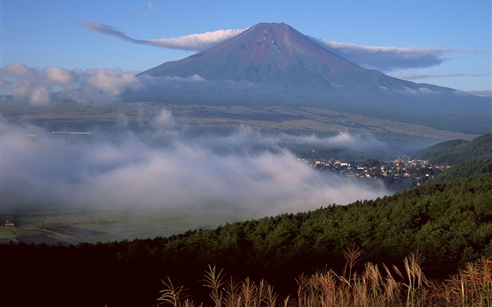 富士山，日本，镇，林，草，雾，云 壁纸 图片