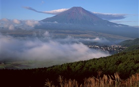 富士山，日本，镇，林，草，雾，云 高清壁纸
