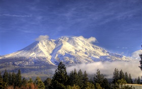 山，雪，树，云，沙斯塔，加利福尼亚州，美国 高清壁纸