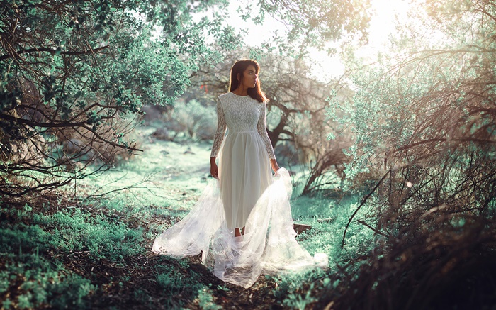 白色连衣裙的女孩在森林，阳光，眩光 壁纸 图片
