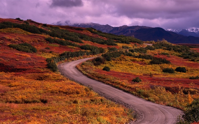 秋季，山，路，草，云 壁纸 图片