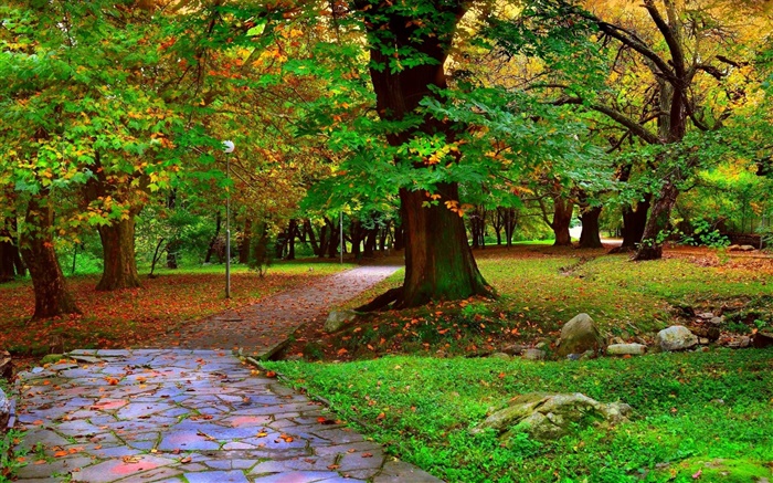秋天的公园，树木，人行道，叶 壁纸 图片