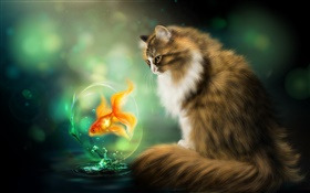 猫与金鱼，绘画艺术