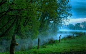 早上自然风光，草甸，草，河流，雾