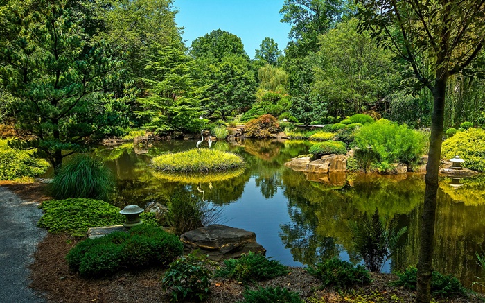 吉布斯花园，美国，池塘，树木，草 壁纸 图片