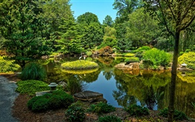 吉布斯花园，美国，池塘，树木，草 高清壁纸