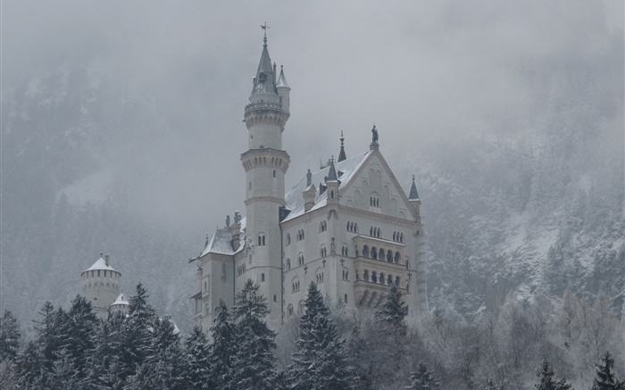新天鹅堡，城堡，山，树，雪 壁纸 图片