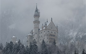 新天鹅堡，城堡，山，树，雪 高清壁纸