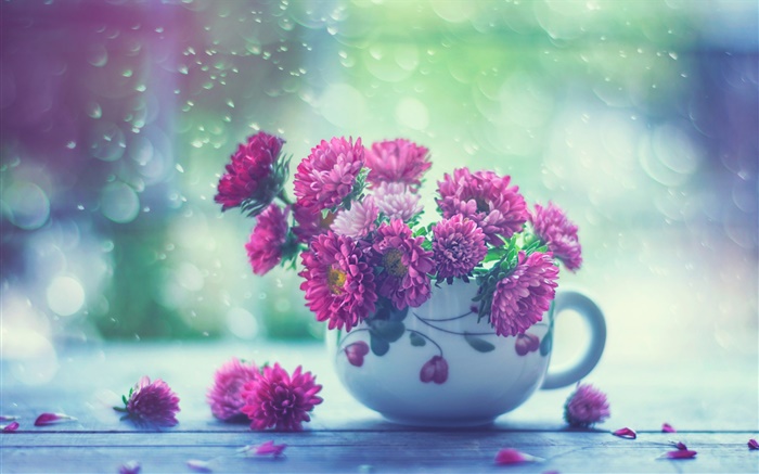 粉红色的花朵，杯，雨 壁纸 图片