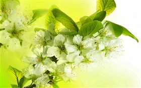白色苹果花，开花，枝杈，春天