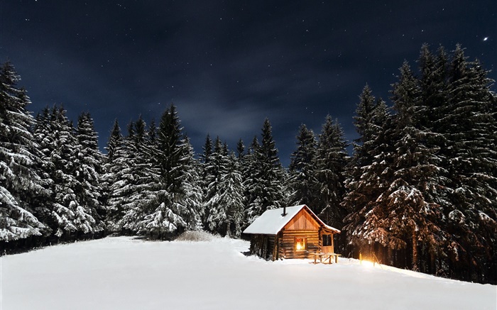 冬天，雪，树，夜，小屋 壁纸 图片
