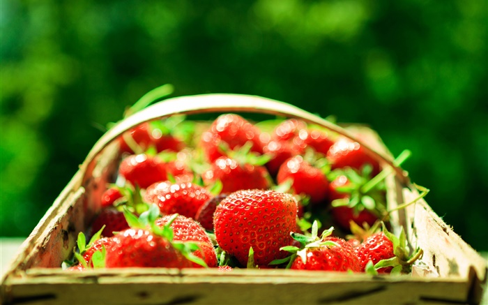 新鲜的草莓，篮子，绿色背景 壁纸 图片