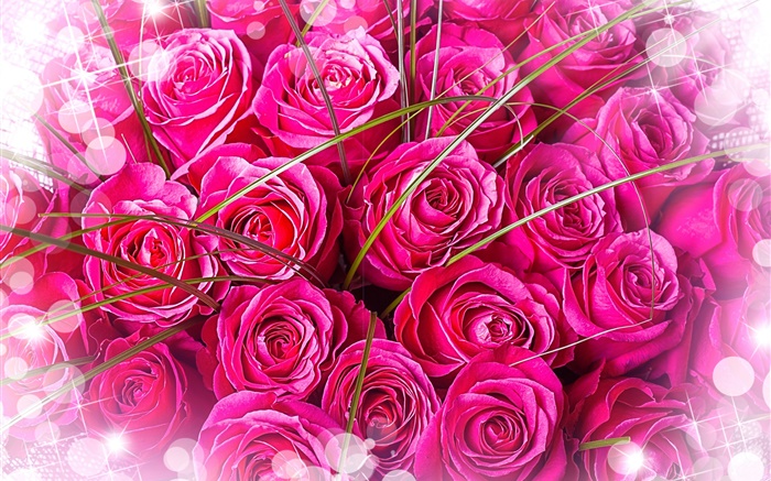 粉红色的玫瑰，花束，眩光 壁纸 图片