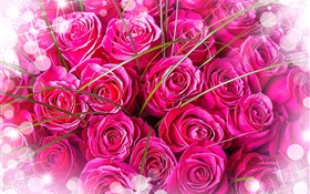 粉红色的玫瑰，花束，眩光 高清壁纸