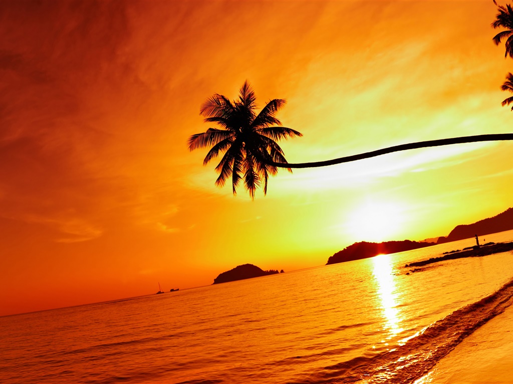 热带海滩日落，棕榈树，泰国 1024x768 壁纸