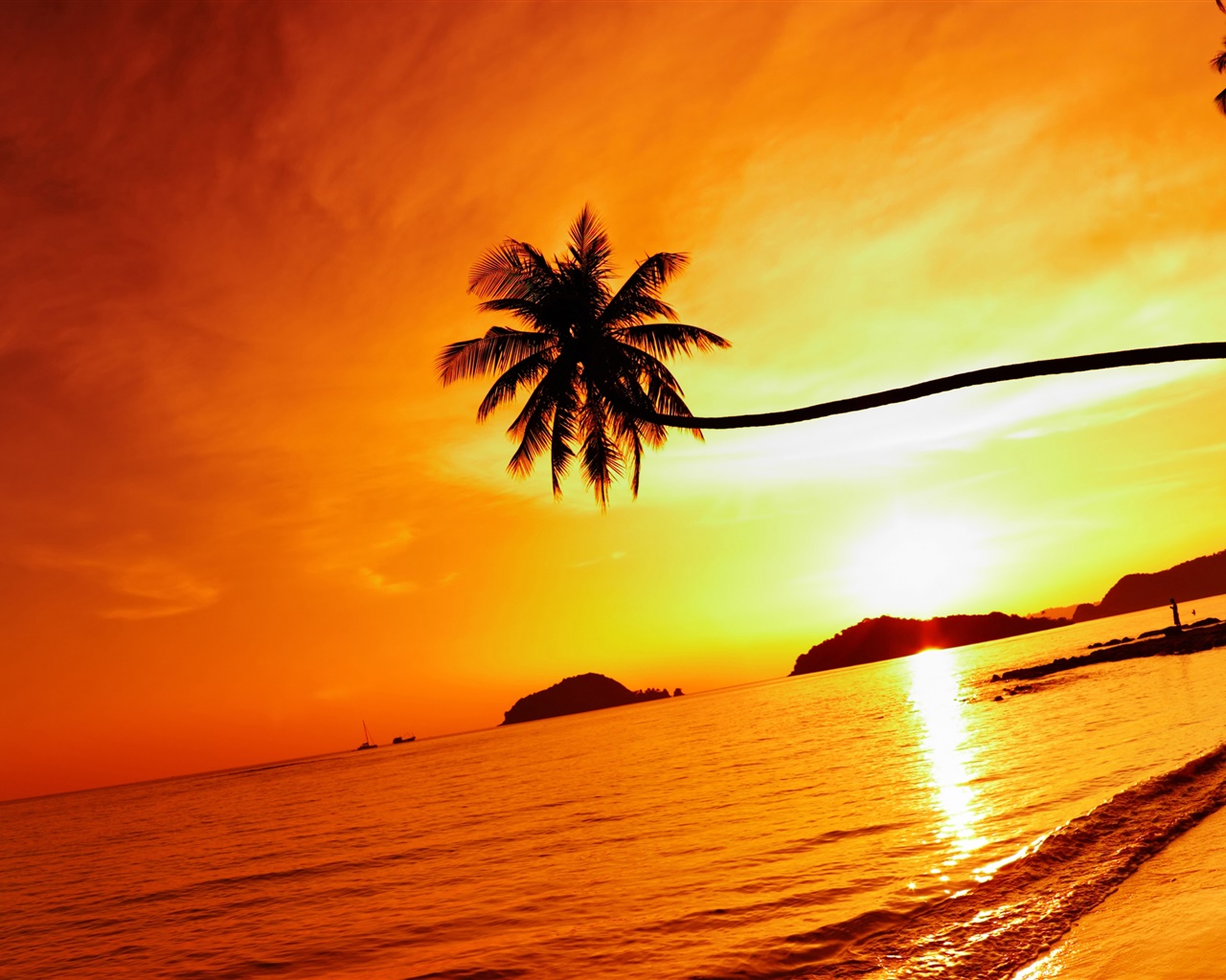 热带海滩日落，棕榈树，泰国 1280x1024 壁纸