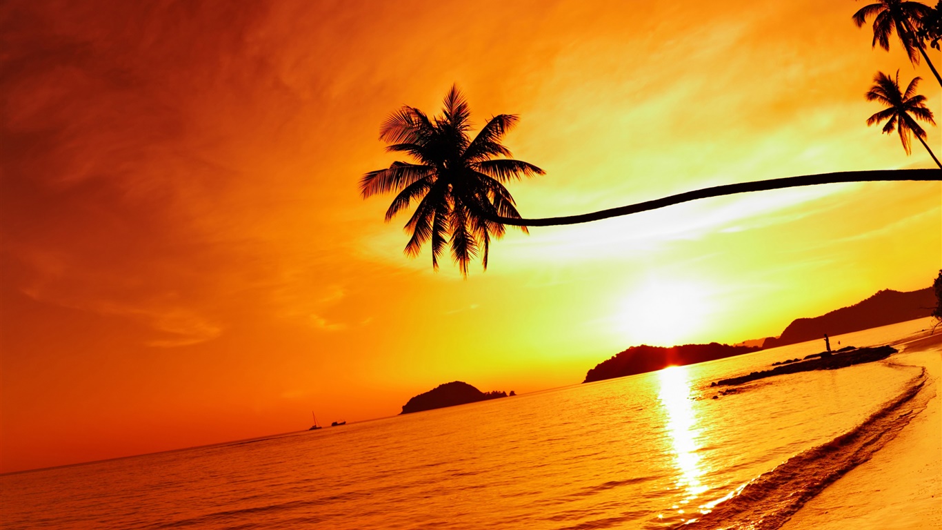 热带海滩日落，棕榈树，泰国 1366x768 壁纸
