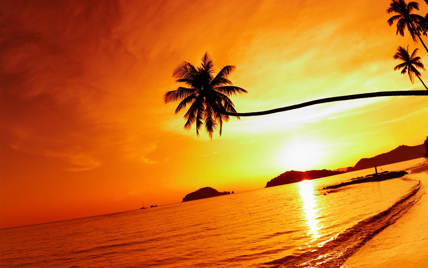 热带海滩日落，棕榈树，泰国 1440x900 壁纸