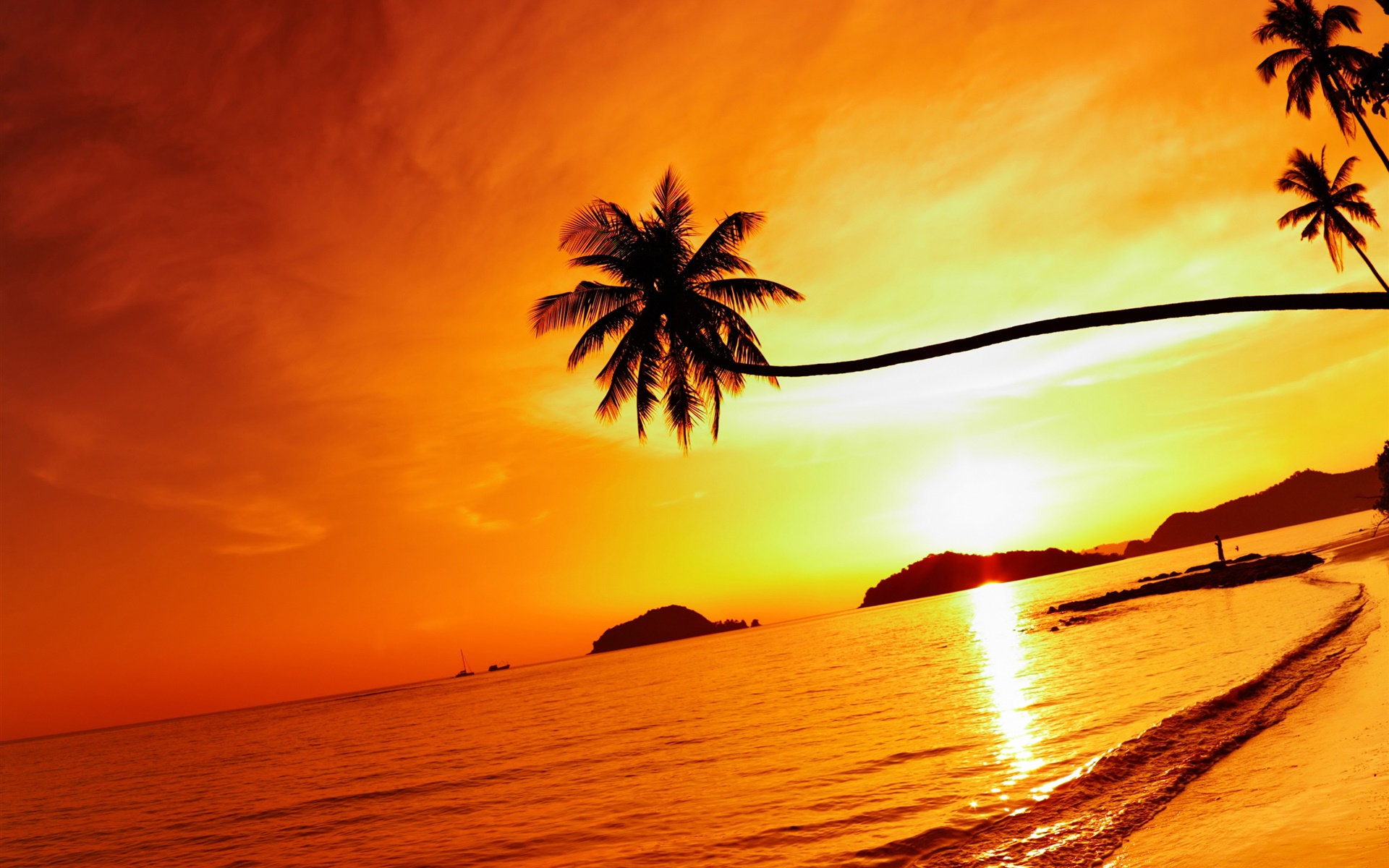 热带海滩日落，棕榈树，泰国 1920x1200 壁纸