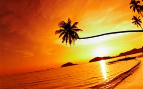 热带海滩日落，棕榈树，泰国