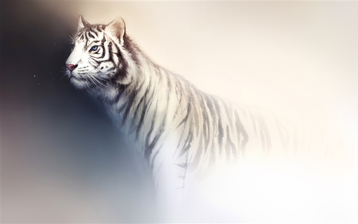 白老虎水彩绘画 壁纸 图片