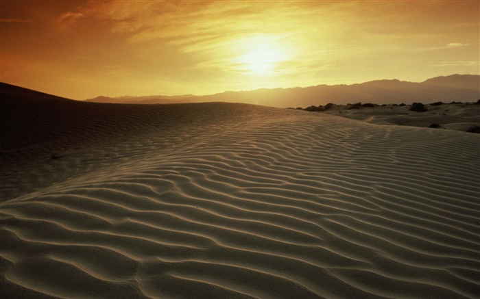 沙漠，日落 壁纸 图片