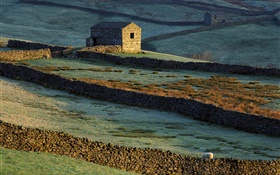 石头房子，篱笆，草，羊