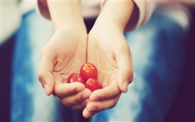 小番茄在手中