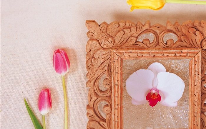 粉红色的郁金香和白色蝴蝶兰 壁纸 图片