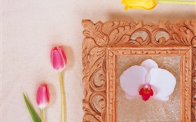 粉红色的郁金香和白色蝴蝶兰 高清壁纸
