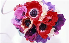 不同颜色的花，白，粉红色，紫色，红色 高清壁纸