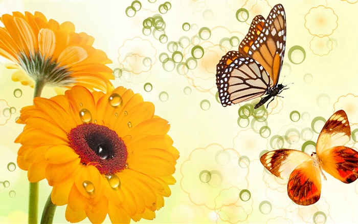 黄色的花朵和蝴蝶，创意设计 壁纸 图片