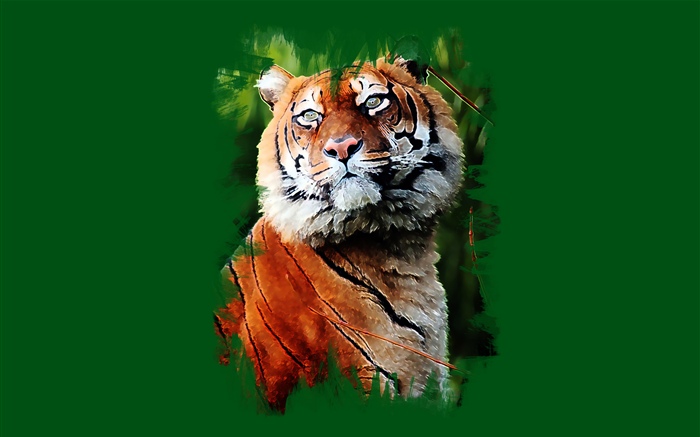 艺术绘画，老虎，绿色背景 壁纸 图片
